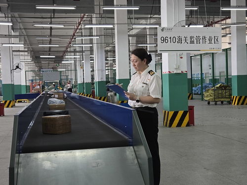 上海跨境电商发力邮路渠道,空运天天有,中欧班列和海运已待命