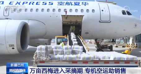 助力鲜果销售!新疆巴州:万亩西梅进入采摘期 专机空运助销售