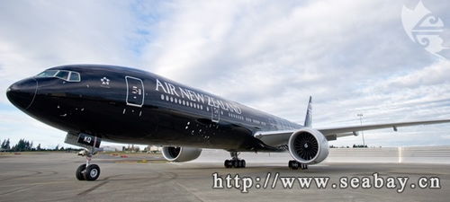 助力两国间经贸发展,新西兰航空增加 奥克兰 上海 航线班次