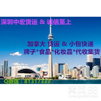 上海
