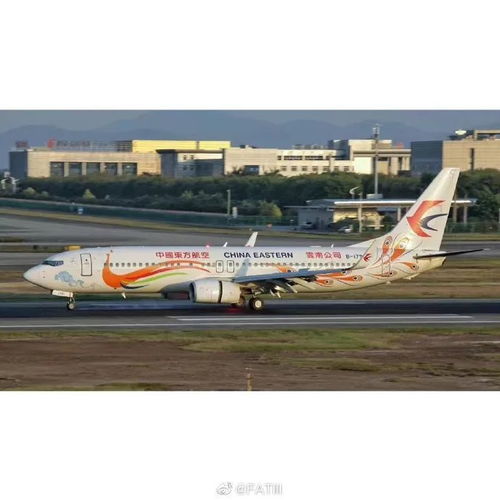 发生空难后航空公司怎么赔 曾有多家公司赔到破产